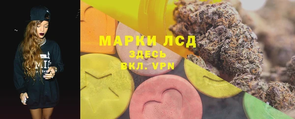 гидра Белокуриха