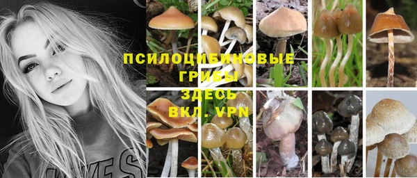 гидра Белокуриха