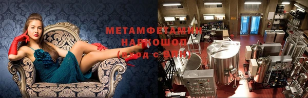 ГАЛЛЮЦИНОГЕННЫЕ ГРИБЫ Белоозёрский