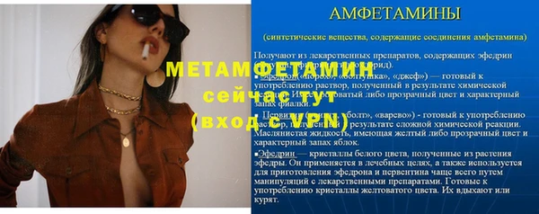 гидра Белокуриха