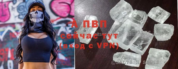 ГАЛЛЮЦИНОГЕННЫЕ ГРИБЫ Белоозёрский