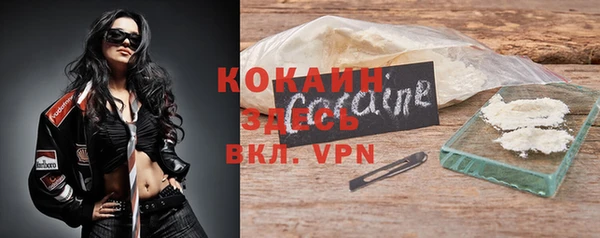 гидра Белокуриха
